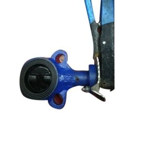 Cast Iron Butterfly Valve