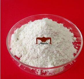 77-06-5 High Quality Gibberellin