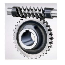 Alloy Steel Worm Gear