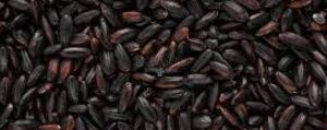 black rice