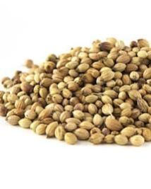 coriander seed