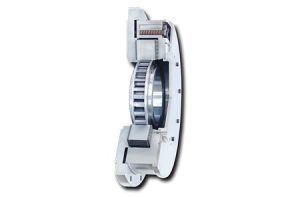Integrated Freewheels FXRV bearing