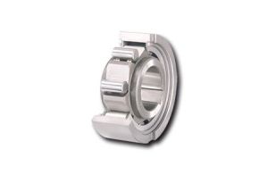 Internal Freewheels FSN Bearing