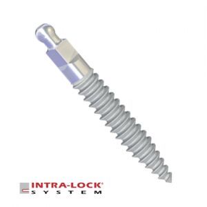 Mini Drive Lock Implant