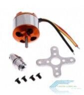 Brushless Motor