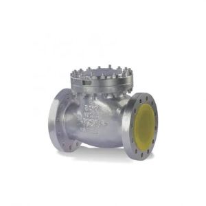 Cast Iron Non Return Valve