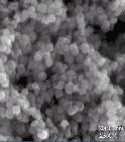 Barium Titanate NanoPowder