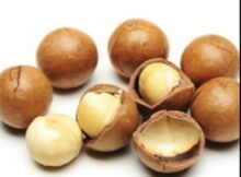 Macadamia Nut Oil