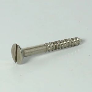 slotted Screw