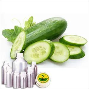 Cucumber Carrier Oil
