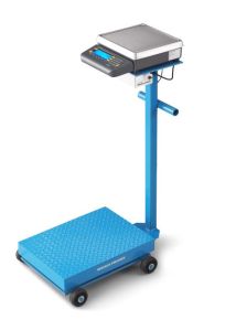 Weigh-Tronix Portable Floor Scale