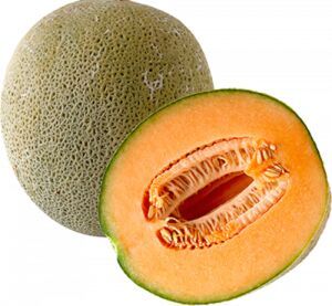 muskmelon