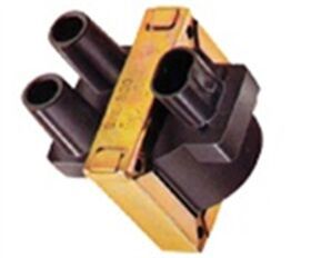 Double Outlet Ignition Coils