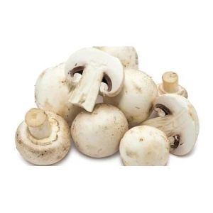 Fresh Blanched Mushroom