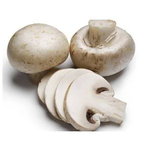 fresh button mushroom