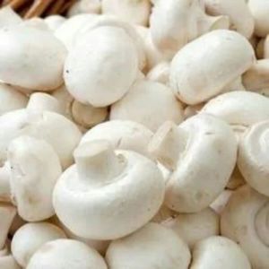 Fresh Organic Button Mushroom