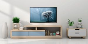 Television rental services
