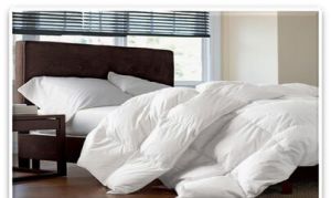 Feather Soft Duvets