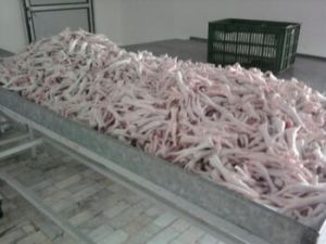 Frozen Chicken Parts, Certification : Iso Certified