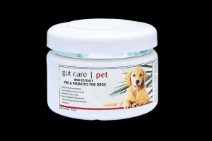 Dog GUT CARE POWDER 100 GM (pack of 48)