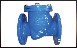 Double Flanged Check Valve