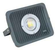 LED Flood Light