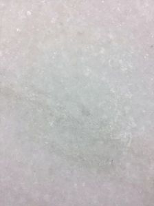 Agaria Pure White marble