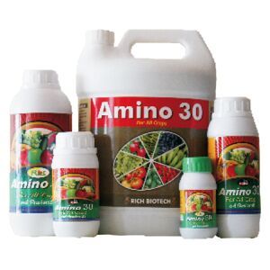 Amino-30 Onion Special