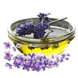 Lavender Oil Pure Essential Oil 100% Organic