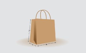 Shopping Bag Size - L13