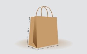 Shopping Bag Size - L16" x W12" x G5"