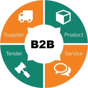 B2C Web Development Services