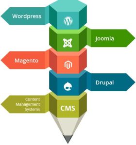 CMS Web Development Services