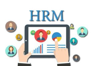 Human Resource Management Software Solutions