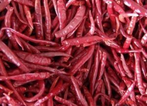 dry red chilli