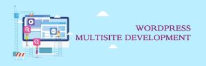 WordPress MultiSite Development Services