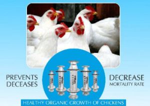Natural water Conditioner for Poultry
