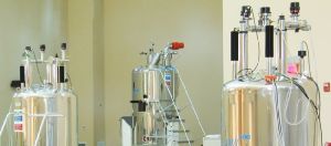 NMR SPECTROSCOPY