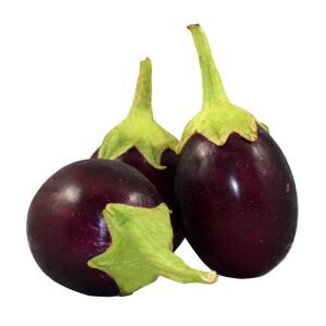 fresh brinjal