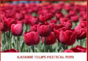 kashmir package 05 Nights 06 Days  Maximum for 06 paxs