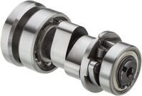 Camshafts with Bearing