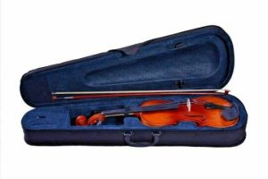 Acoustic Full Size Violin