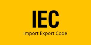Import Export License