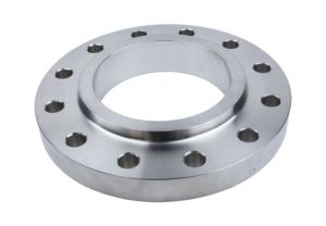 stainless steel flanges