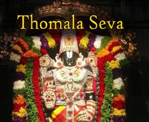 Tirupati 2 Days Trip from Chennai
