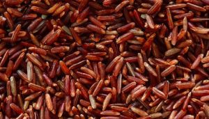 hesawi red rice