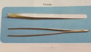 Toothed Tissue Forcep
