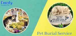 Dog Burial Service