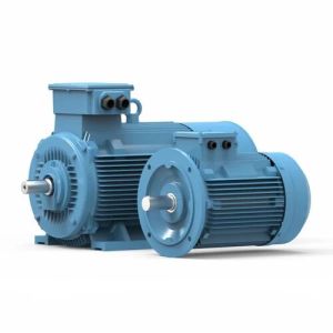 Three Phase Induction Motor