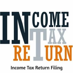 Income Tax Return Filing Service